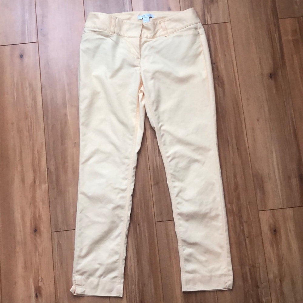 Dress pants